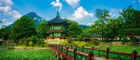 The Best South Korea Tours & Trips 2025